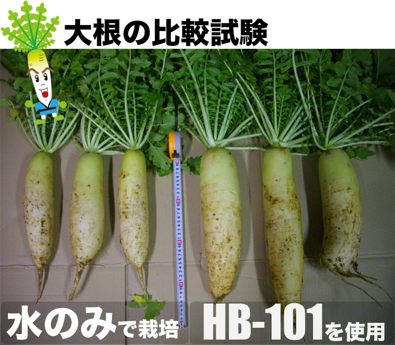 SPコンテンツ画像04